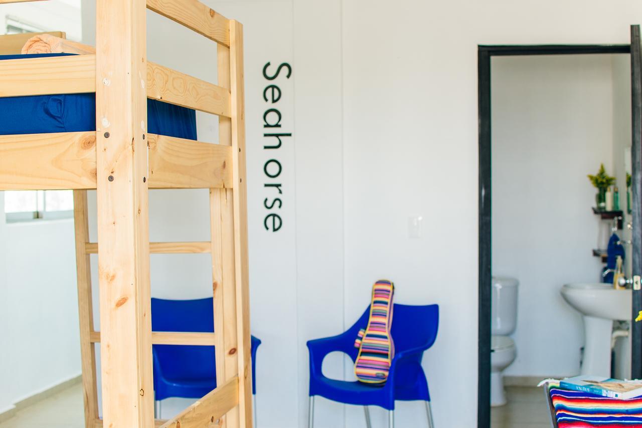 The Mermaid Hostel Beach (Adults Only) Κανκούν Εξωτερικό φωτογραφία